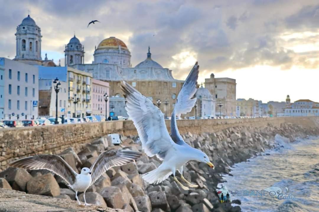 Apartamento Andujar Cadiz Dış mekan fotoğraf